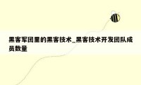 黑客军团里的黑客技术_黑客技术开发团队成员数量