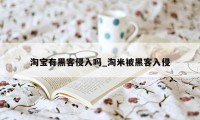 淘宝有黑客侵入吗_淘米被黑客入侵