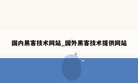 国内黑客技术网站_国外黑客技术提供网站