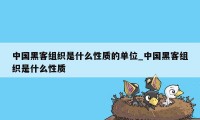 中国黑客组织是什么性质的单位_中国黑客组织是什么性质