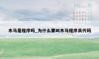 木马是程序吗_为什么要叫木马程序员代码
