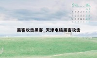 黑客攻击黑客_天津电脑黑客攻击