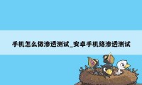 手机怎么做渗透测试_安卓手机络渗透测试
