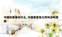 中国的黑客叫什么_中国黑客有几种叫法吗视频