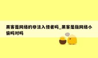 黑客是网络的非法入侵者吗_黑客是指网络小偷吗对吗