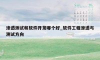 渗透测试和软件开发哪个好_软件工程渗透与测试方向