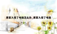 黑客入侵了电脑怎么办_黑客入侵了电脑