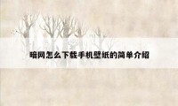 暗网怎么下载手机壁纸的简单介绍