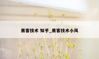 黑客技术 知乎_黑客技术小风