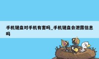 手机键盘对手机有害吗_手机键盘会泄露信息吗