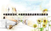 中国黑客百科_中国黑客最新进展情况最新消息