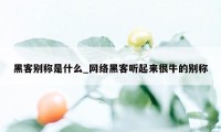 黑客别称是什么_网络黑客听起来很牛的别称