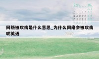 网络被攻击是什么意思_为什么网络会被攻击呢英语