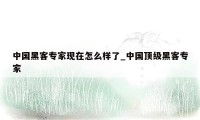 中国黑客专家现在怎么样了_中国顶级黑客专家
