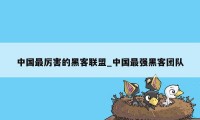 中国最厉害的黑客联盟_中国最强黑客团队