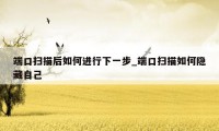 端口扫描后如何进行下一步_端口扫描如何隐藏自己