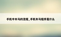 手机中木马的流程_手机木马程序是什么