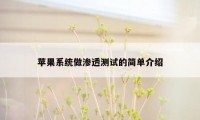 苹果系统做渗透测试的简单介绍