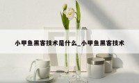 小甲鱼黑客技术是什么_小甲鱼黑客技术