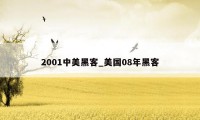 2001中美黑客_美国08年黑客