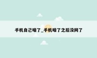 手机自己暗了_手机暗了之后没网了