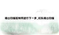 端口扫描后如何进行下一步_红队端口扫描