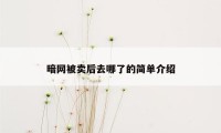 暗网被卖后去哪了的简单介绍