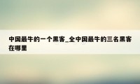 中国最牛的一个黑客_全中国最牛的三名黑客在哪里