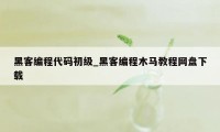 黑客编程代码初级_黑客编程木马教程网盘下载