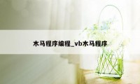 木马程序编程_vb木马程序