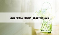 黑客技术入侵网站_黑客技术java