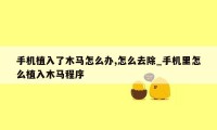手机植入了木马怎么办,怎么去除_手机里怎么植入木马程序