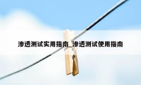 渗透测试实用指南_渗透测试使用指南