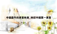 中国最牛的黑客林勇_林欣中国第一黑客