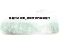 黑客技术原理_黑客技术的真实案例