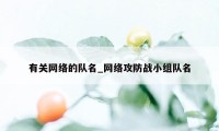 有关网络的队名_网络攻防战小组队名