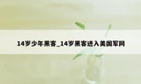 14岁少年黑客_14岁黑客进入美国军网
