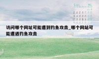 访问哪个网址可能遭到钓鱼攻击_哪个网站可能遭遇钓鱼攻击