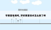 学黑客有用吗_学好黑客技术怎么样了啊