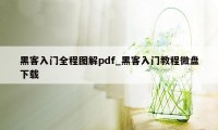 黑客入门全程图解pdf_黑客入门教程微盘下载