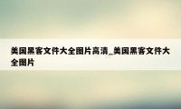 美国黑客文件大全图片高清_美国黑客文件大全图片