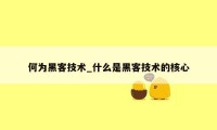 何为黑客技术_什么是黑客技术的核心