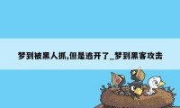 梦到被黑人抓,但是逃开了_梦到黑客攻击