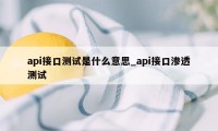 api接口测试是什么意思_api接口渗透测试