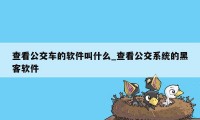 查看公交车的软件叫什么_查看公交系统的黑客软件