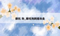 摩托 狗_摩托狗网络攻击