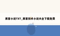 黑客小说TXT_黑客技术小说大全下载免费