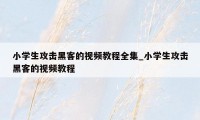 小学生攻击黑客的视频教程全集_小学生攻击黑客的视频教程