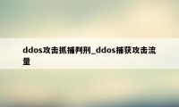 ddos攻击抓捕判刑_ddos捕获攻击流量