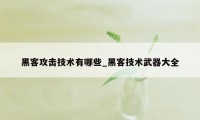 黑客攻击技术有哪些_黑客技术武器大全